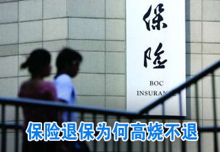 保险退保为何高烧不退