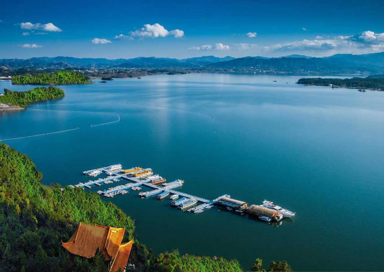 舒城县谋发展、调转促