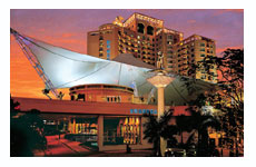 华侨城酒店美食文化节