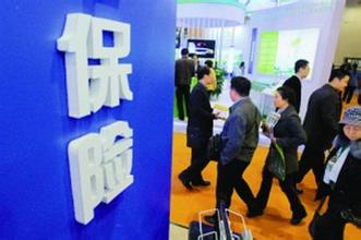 保险热催生创业项目