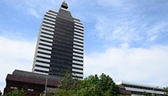 控股股东新华社简介