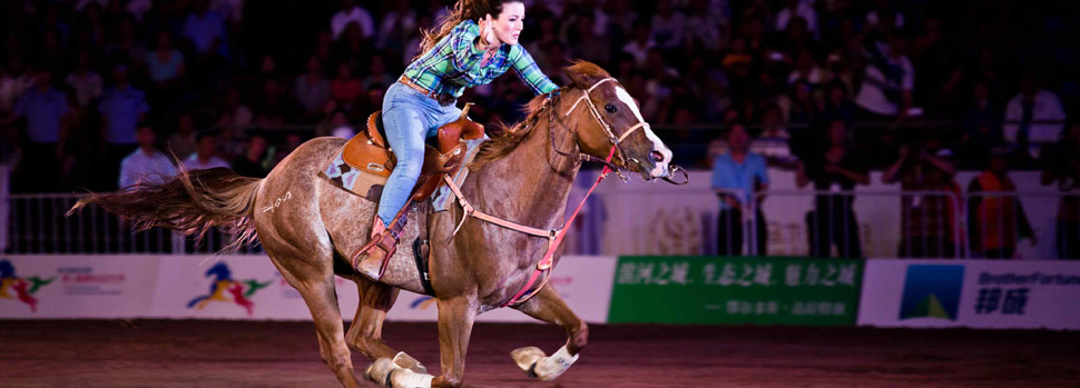 名马骑师 鄂尔多斯国际马文化节的两大看点