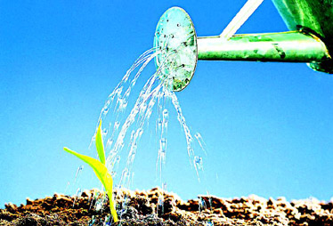 【2月10日】民办非营利事业单位是否可享受税收优惠?