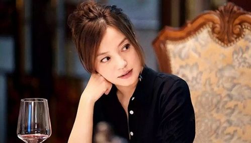 30.59亿几乎全是借的