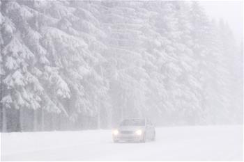 極端天氣席卷德國