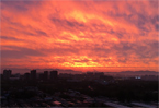 紅透半邊天！北京大雨過後現醉人晚霞