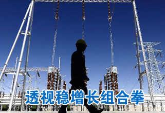 透视稳增长组合拳