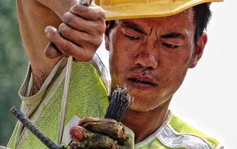 北京最高溫突破37℃　