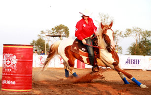 达拉特第二届国际马文化节将在8月举行