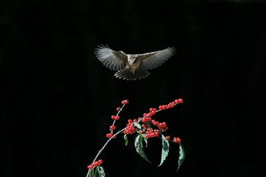 &ldquo;舞&rdquo;秋