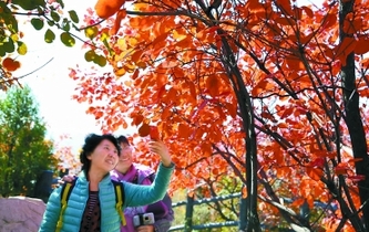 金秋北京11處園林景區宜賞紅