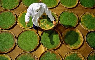 人間至味&ldquo;冷後渾&rdquo;