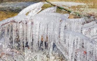 甘肅肅南現冰挂景觀 樹木&ldquo;冰封&rdquo;宛如玉樹瓊花