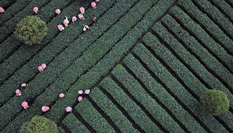 &ldquo;三言兩語&rdquo;背後的貴州之變