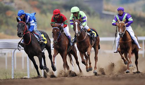 海南自贸区《方案》 赛马项目未被提及