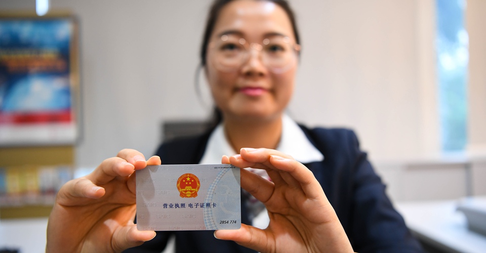 自贸区&ldquo;新雁阵&rdquo;：引领中国更高水平开放进程