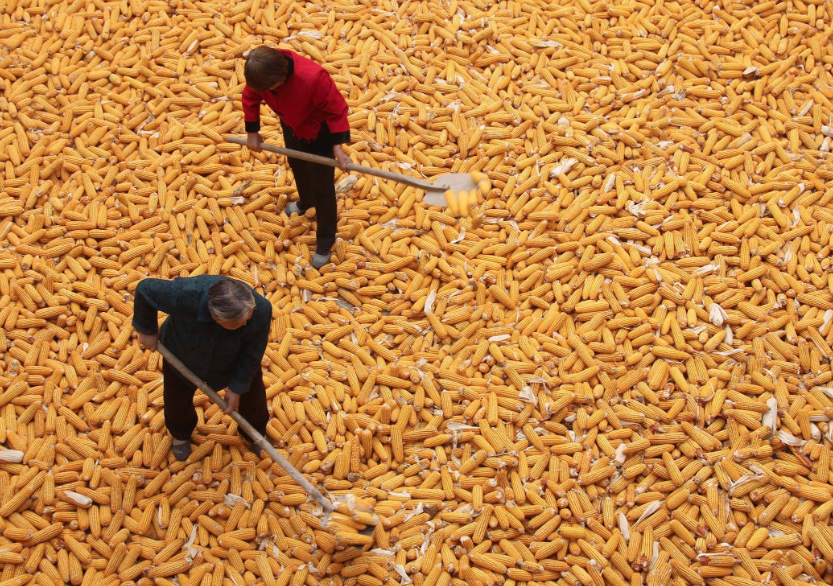 真&middot;&ldquo;王者农药&rdquo;