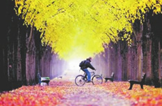 国家旅游局:旅游业向民间资本全方位开放