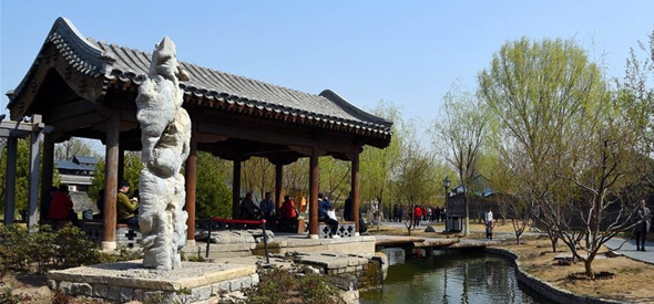 北京“三老”现象透视