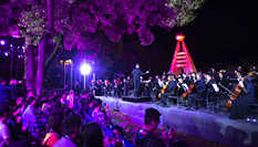 校園裏的&ldquo;森林音樂會&rdquo;