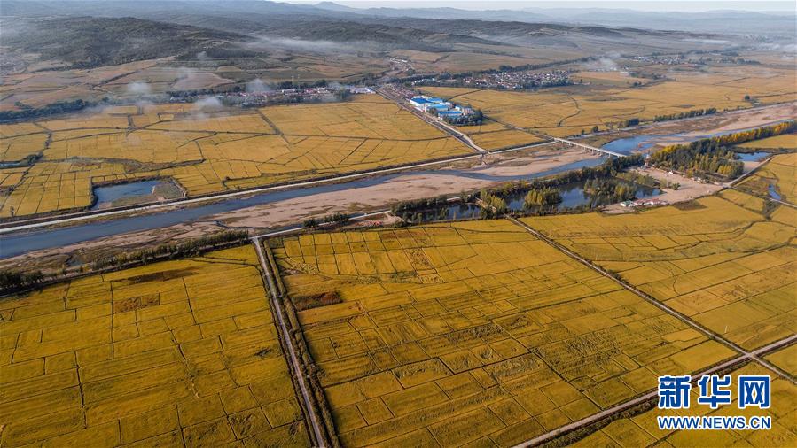 “长满欧”“长珲欧”班列 “两翼齐飞”促吉林省开放