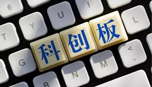 逾30家保险机构齐聚科创板“打新”