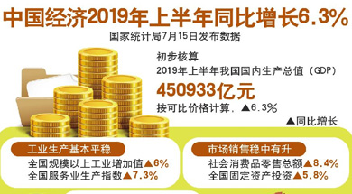 中国经济上半年同比增长6.3%