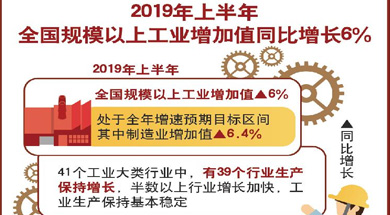上半年规模以上工业增加值同比增6%