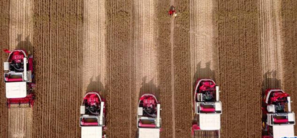 中央经济工作会议透露2020年六大民生看点