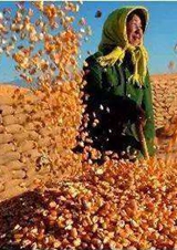 新华社评论员：为夺取全面建成小康社会伟大胜利而奋斗