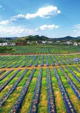 勾勒三大攻坚战“攻防图”