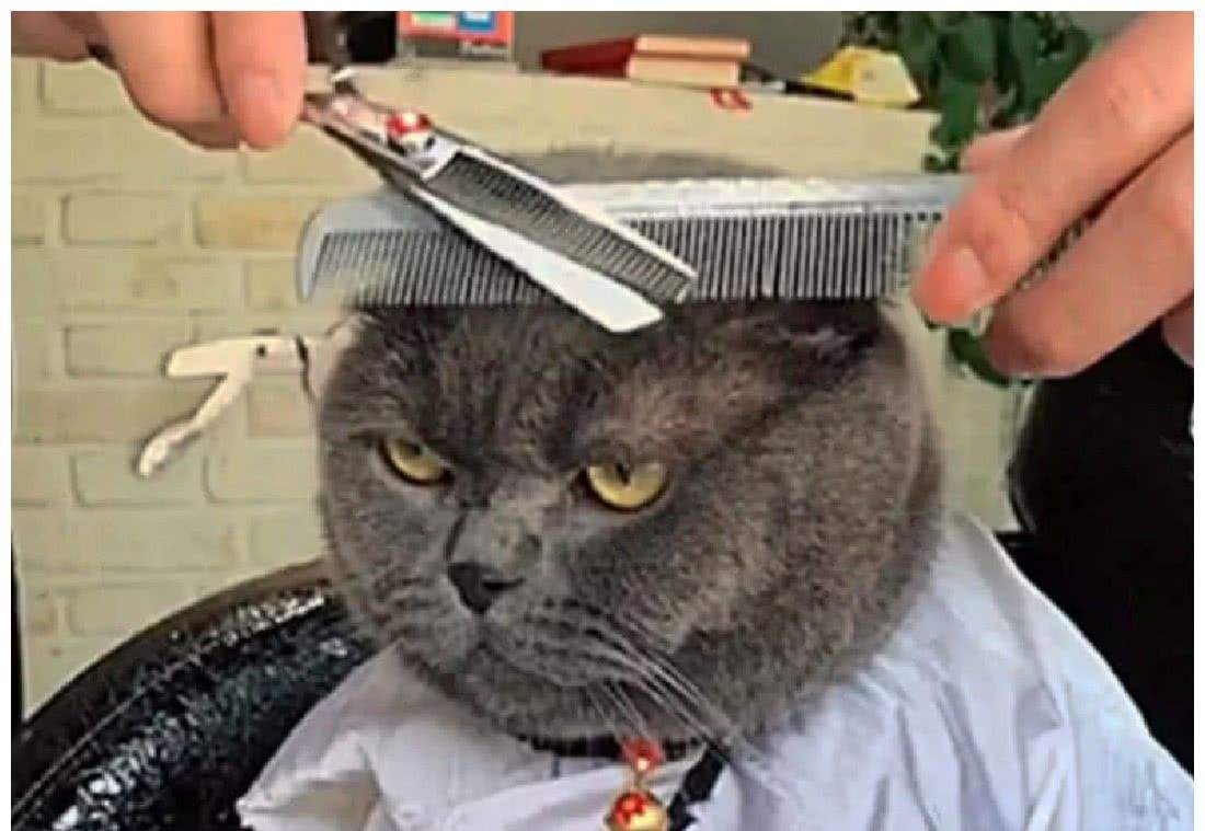 【复工中的新亮点】已经隐藏不了自己的身份了，我就是厨神tony