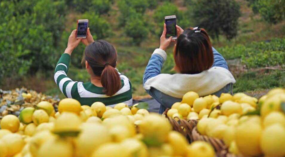 500农户上“菜菜” 城乡互动热起来