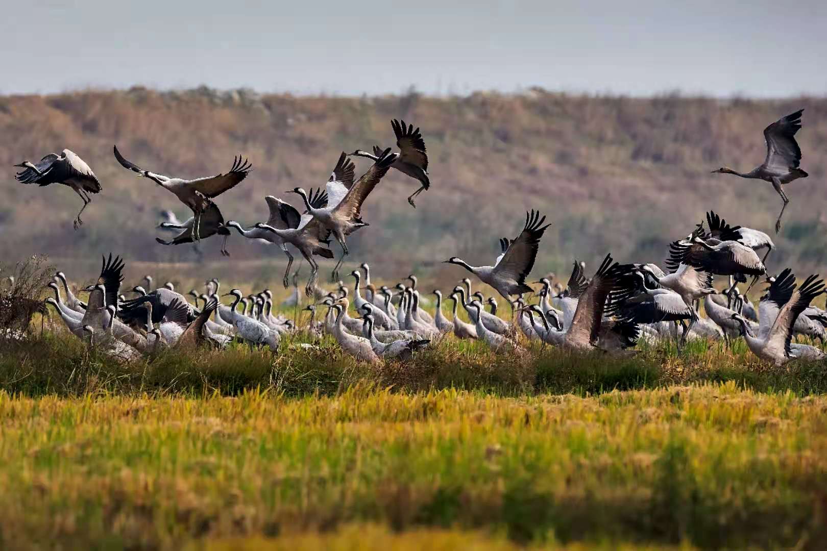 长江禁捕后，渔民们上岸后有了新角色
