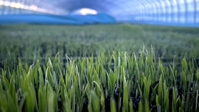 端牢&ldquo;中国饭碗&rdquo;，&ldquo;北大仓&rdquo;想这么干