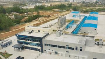 突围!“靶向”纾困 全力以“复”