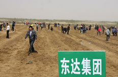 林草沙三业结合 防治用三效兼顾