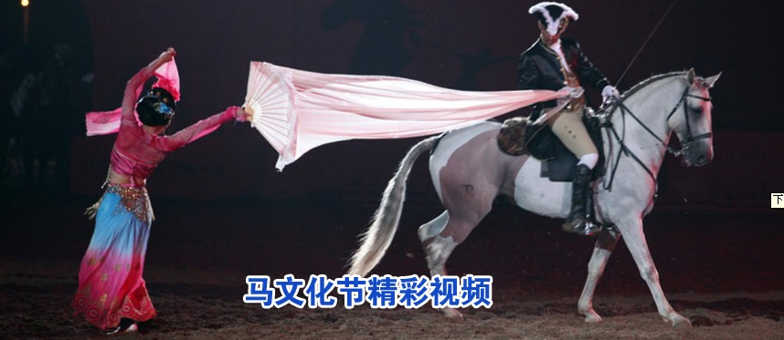 马文化节精彩视频