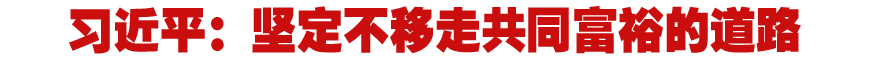 习近平：坚定不移走共同富裕的道路