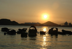 新时代下的老品牌：消失抑或重生？