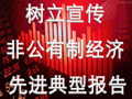 树立宣传非公有制经济先进典型报告