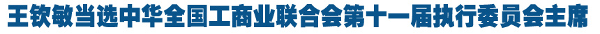 王钦敏当选中华全国工商业联合会第十一届执行委员会主席