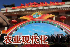十年农交会十年现代化