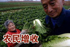 十八大聚焦农民增收