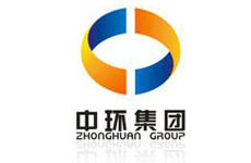 天津中环电子信息集团有限公司