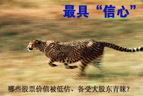 【备受青睐】2012十大“增持王” 代表：内蒙君正