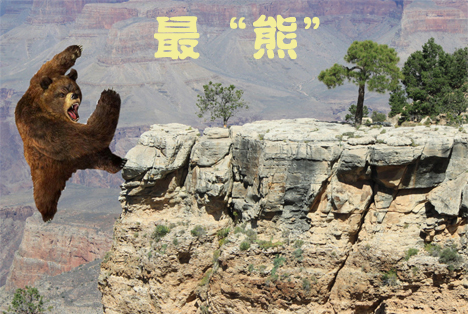 【熊途末路】2012十大“熊股”　代表：大立科技