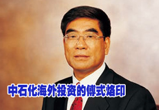 中石化海外投资的傅式烙