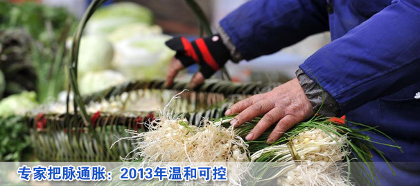 专家把脉通胀：2013年温和可控