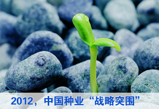 2012:中国种业“战略突围”